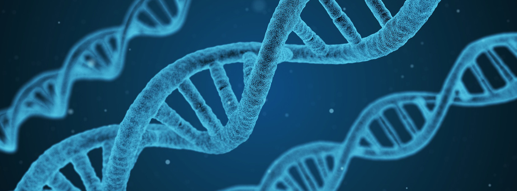 DNA strands