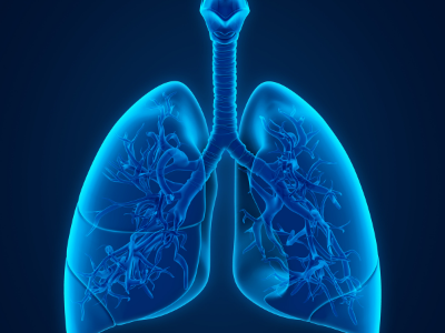 Working in Respiratory Diseases – Our Capabilities
